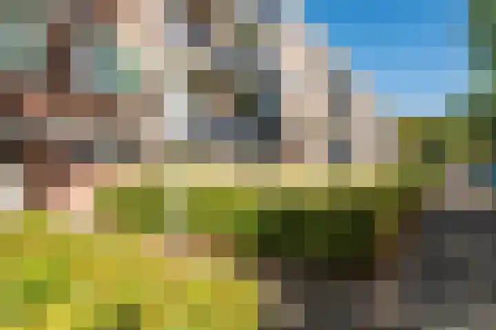Academielaan 53 Tilburg thumbnail 30