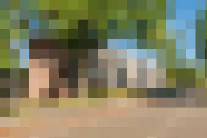 Academielaan 53 Tilburg thumbnail 31
