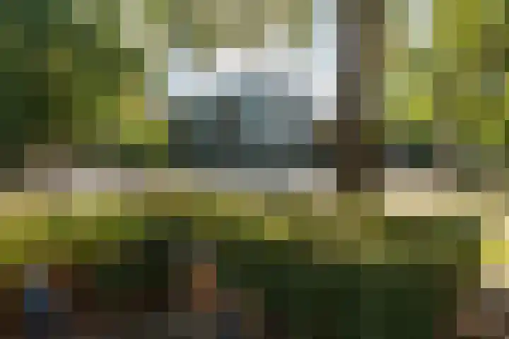 Academielaan 53 Tilburg thumbnail 33