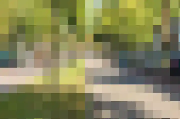 Academielaan 53 Tilburg thumbnail 34