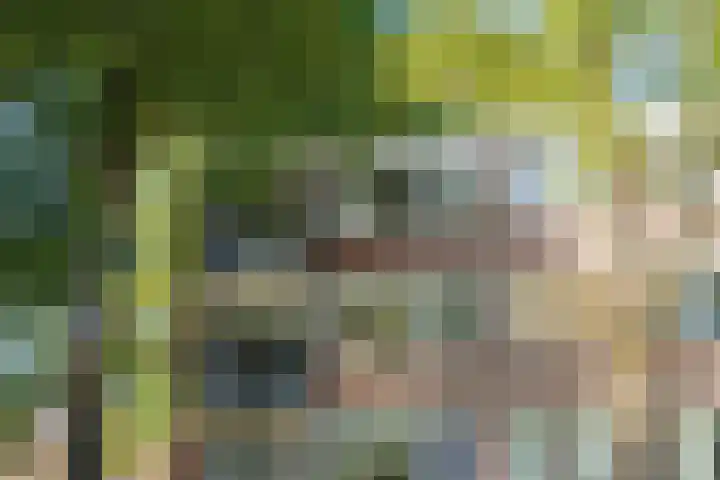 Academielaan 53 Tilburg thumbnail 35