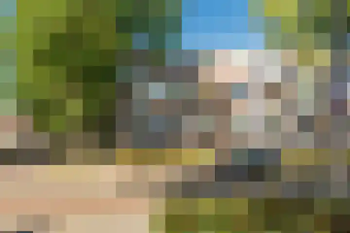 Academielaan 53 Tilburg thumbnail 5