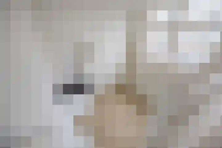 Academiesingel 10 A2 Breda thumbnail 11