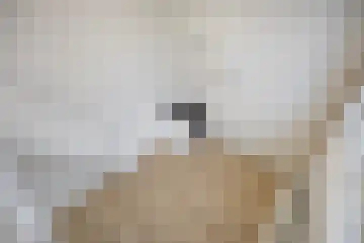 Academiesingel 10 A2 Breda thumbnail 20