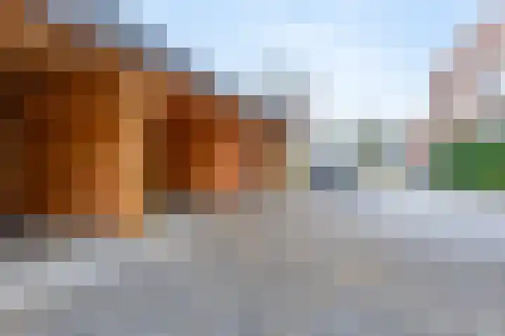 Academiesingel 10 A2 Breda thumbnail 28