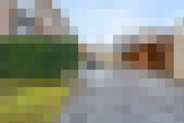 Academiesingel 10 A2 Breda thumbnail 29