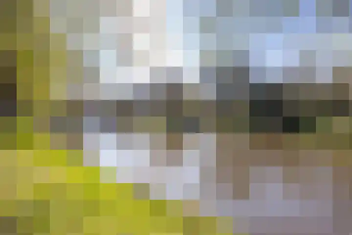 Academiesingel 10 A2 Breda thumbnail 30