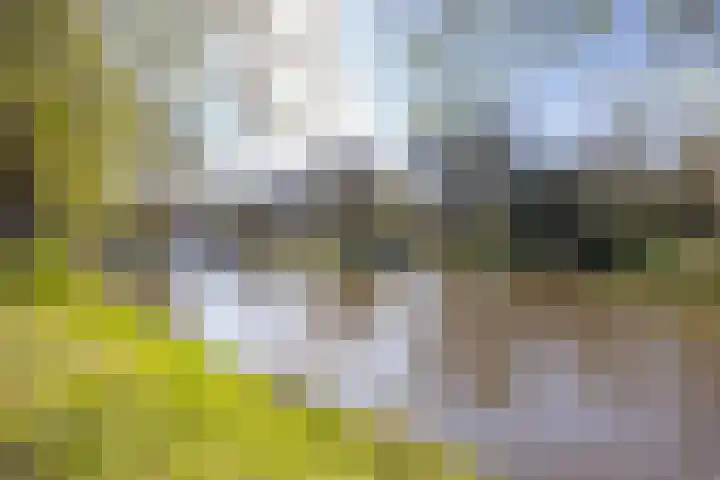 Academiesingel 10 A2 Breda thumbnail 5