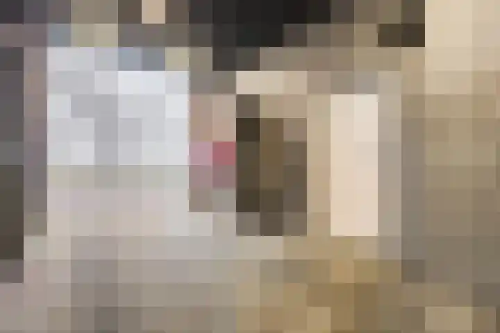 Academiesingel 10 A2 Breda thumbnail 9