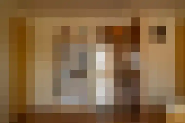 Academiesingel 21 Breda thumbnail 14