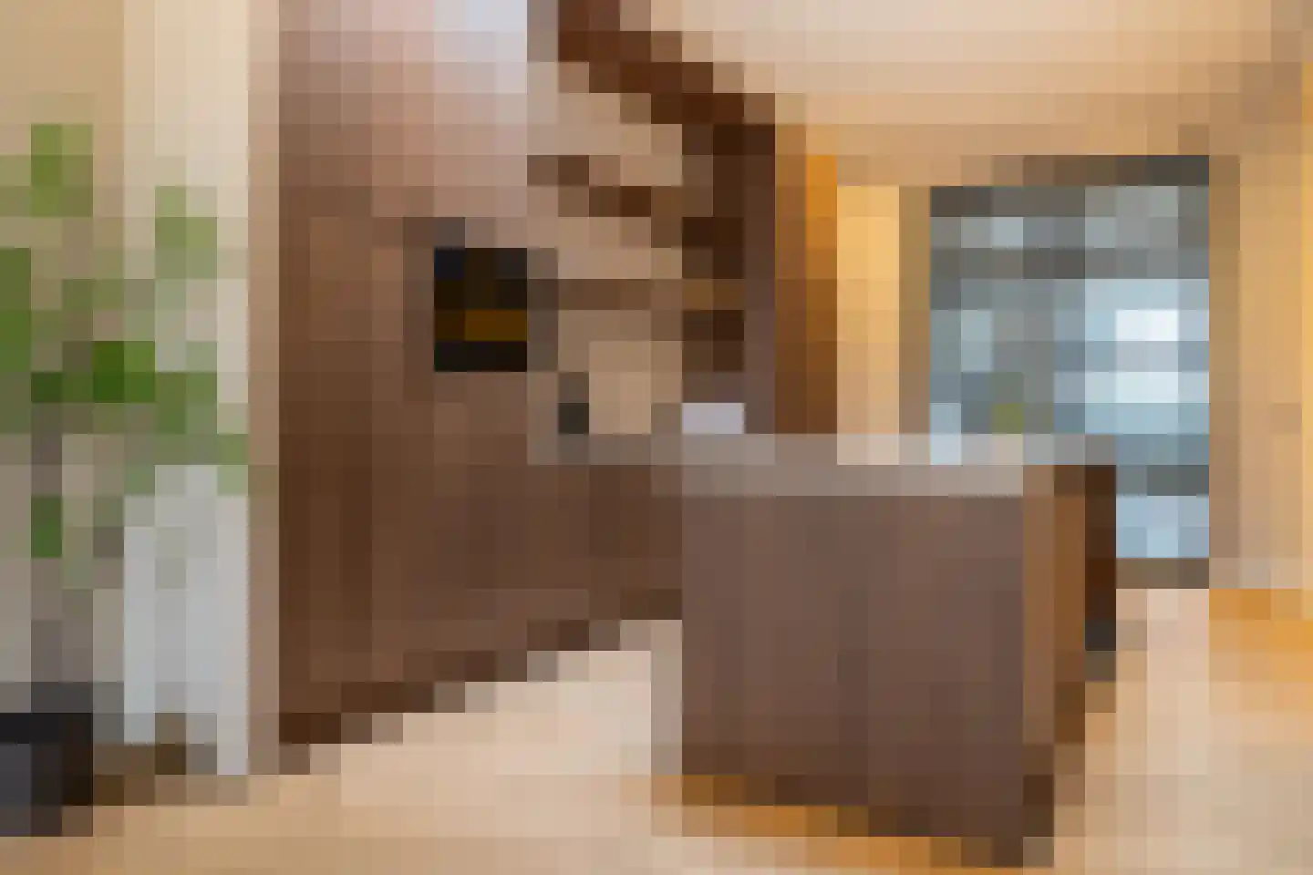 Academiesingel 21 Breda thumbnail 14