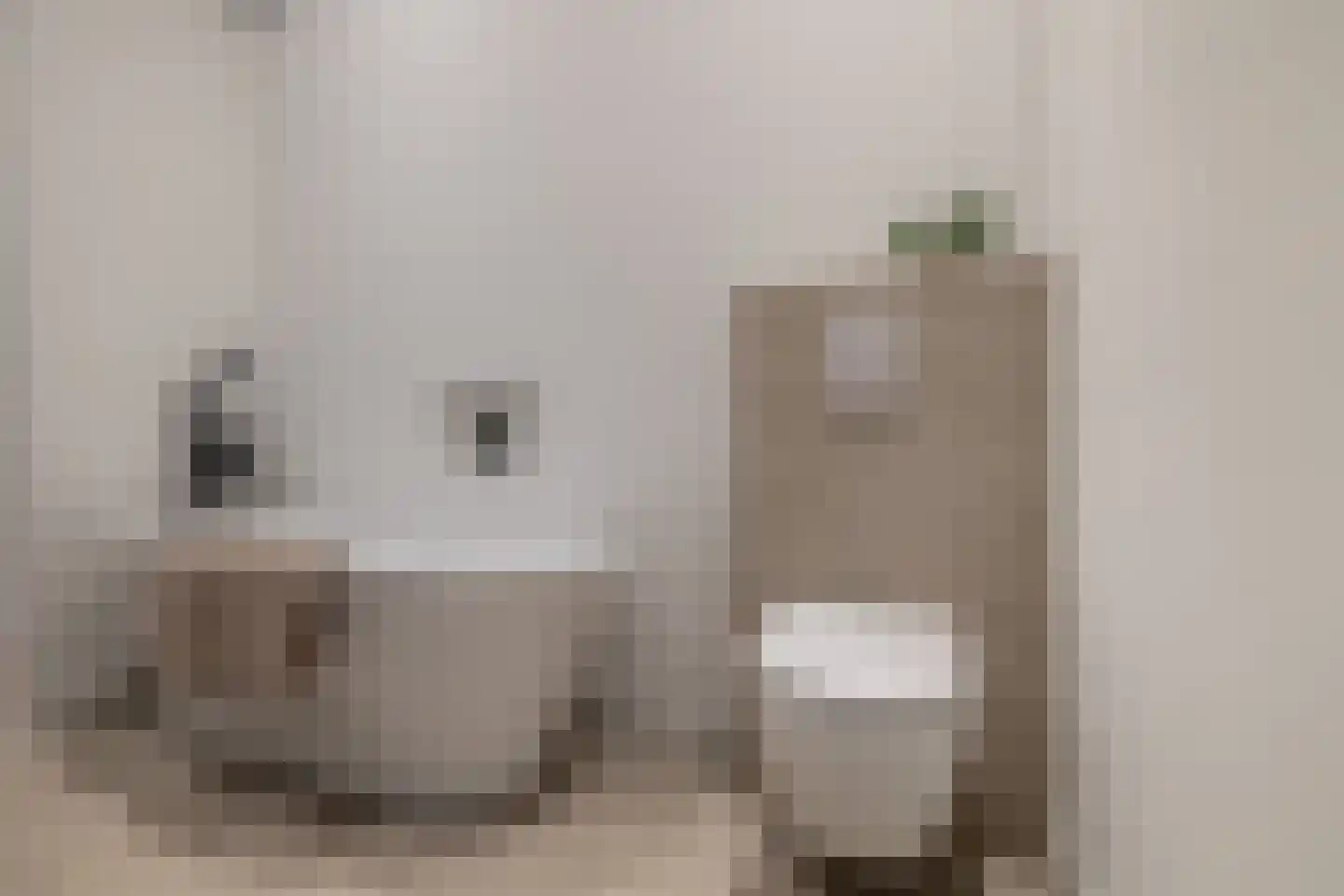 Academiesingel 21 Breda thumbnail 19