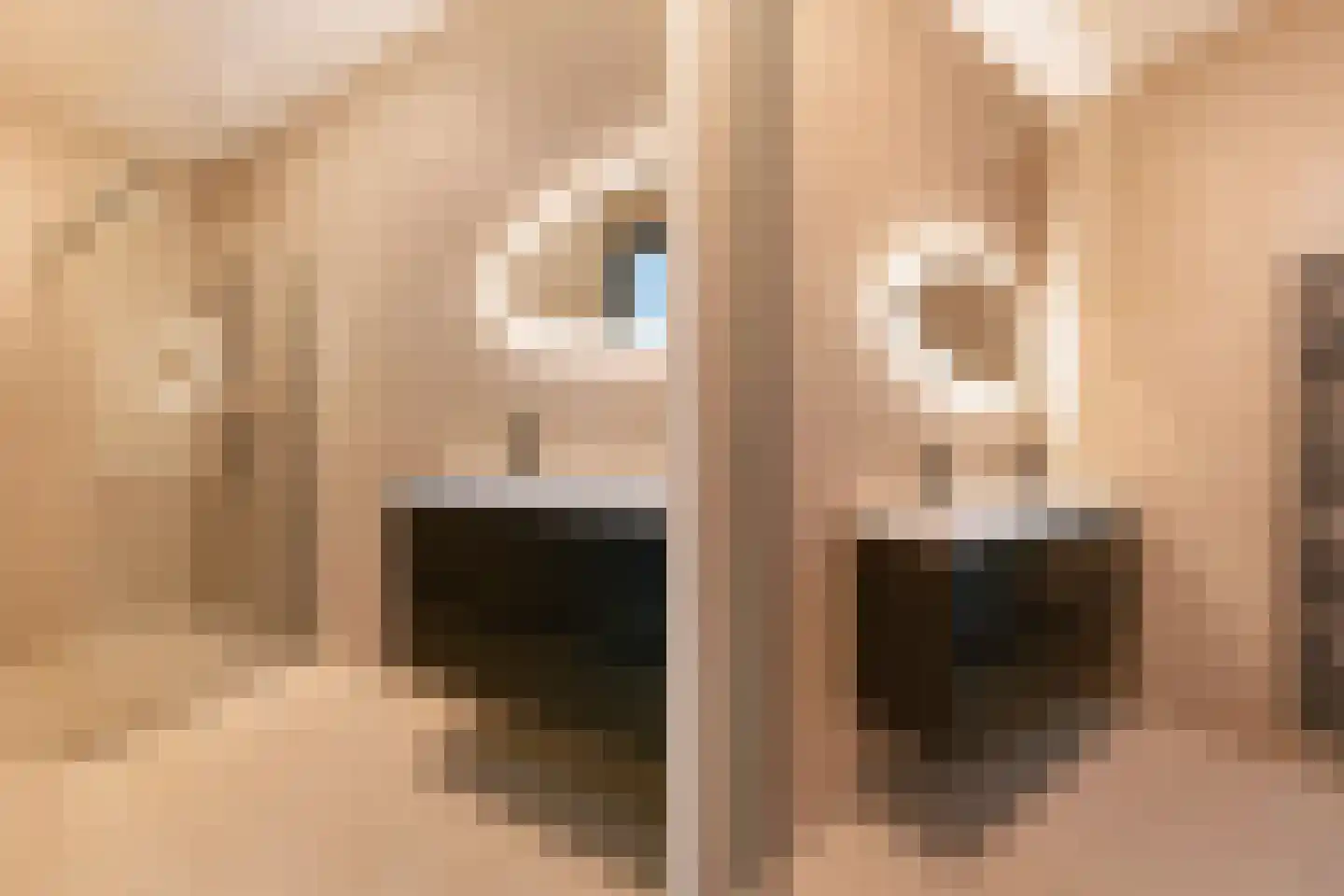 Academiesingel 42 A1 Breda thumbnail 8