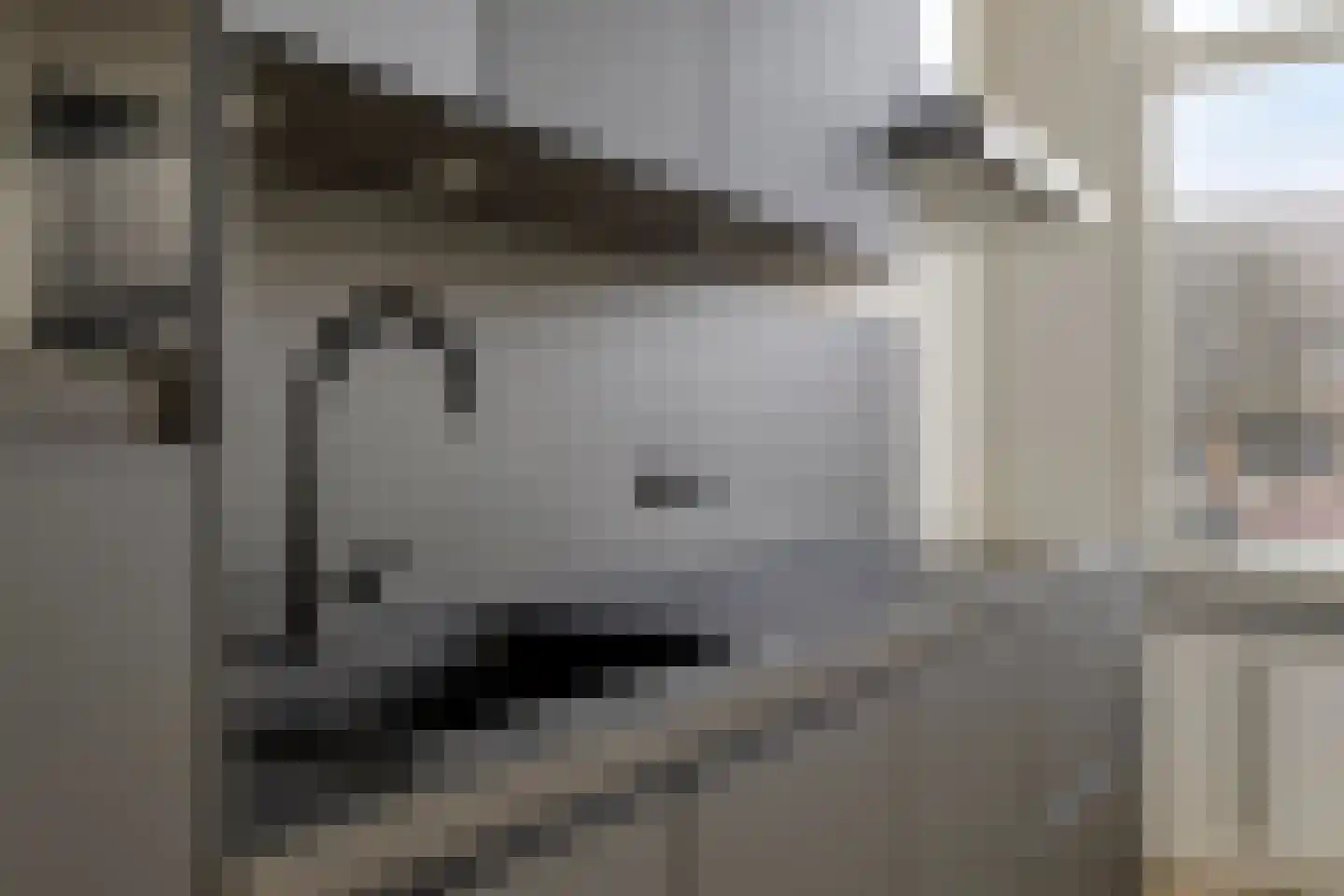 Academiesingel 42 B2 Breda thumbnail 4