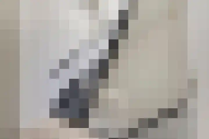 Academiesingel 42 C1 Breda thumbnail 20