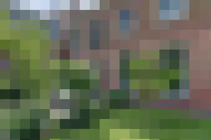 Academiestraat 15 Franeker thumbnail 28