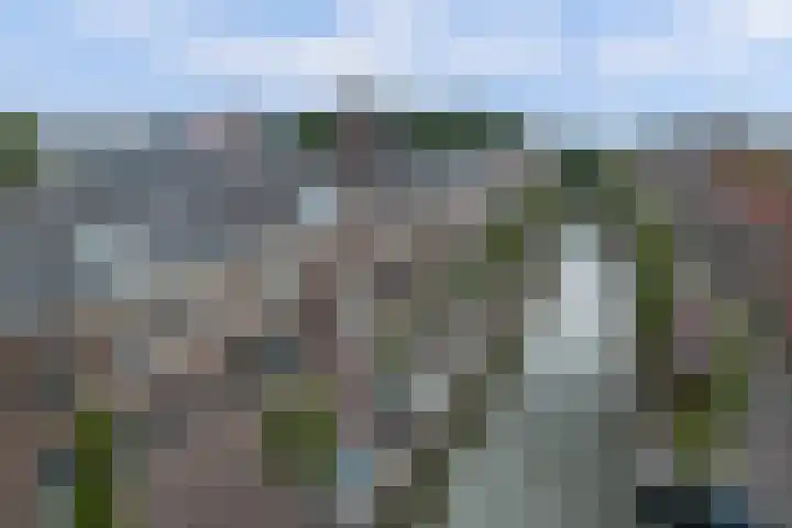 Academiestraat 15 Franeker thumbnail 34