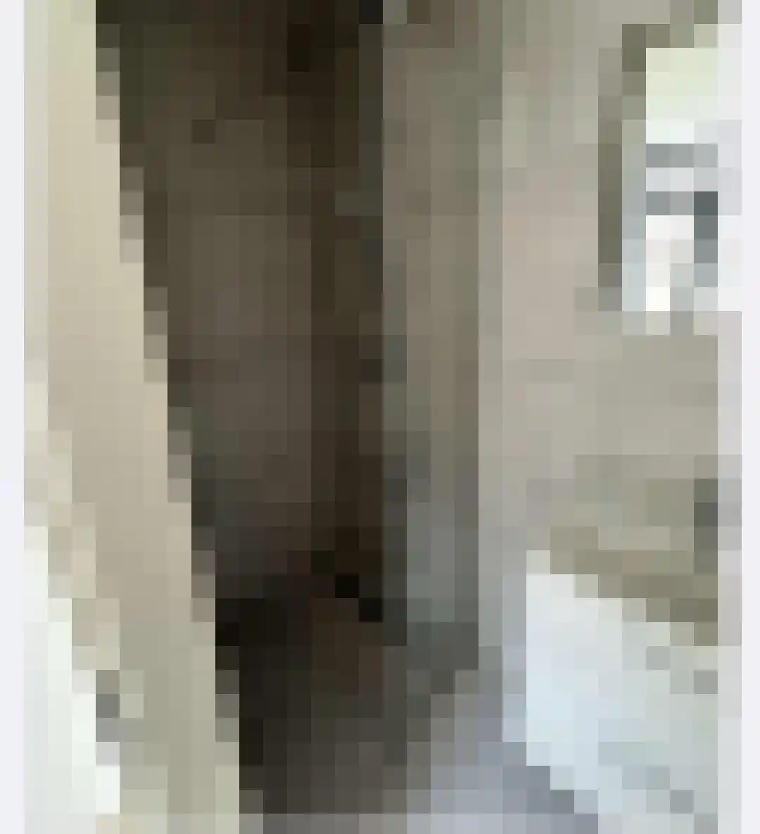 Academiestraat Harderwijk thumbnail 6