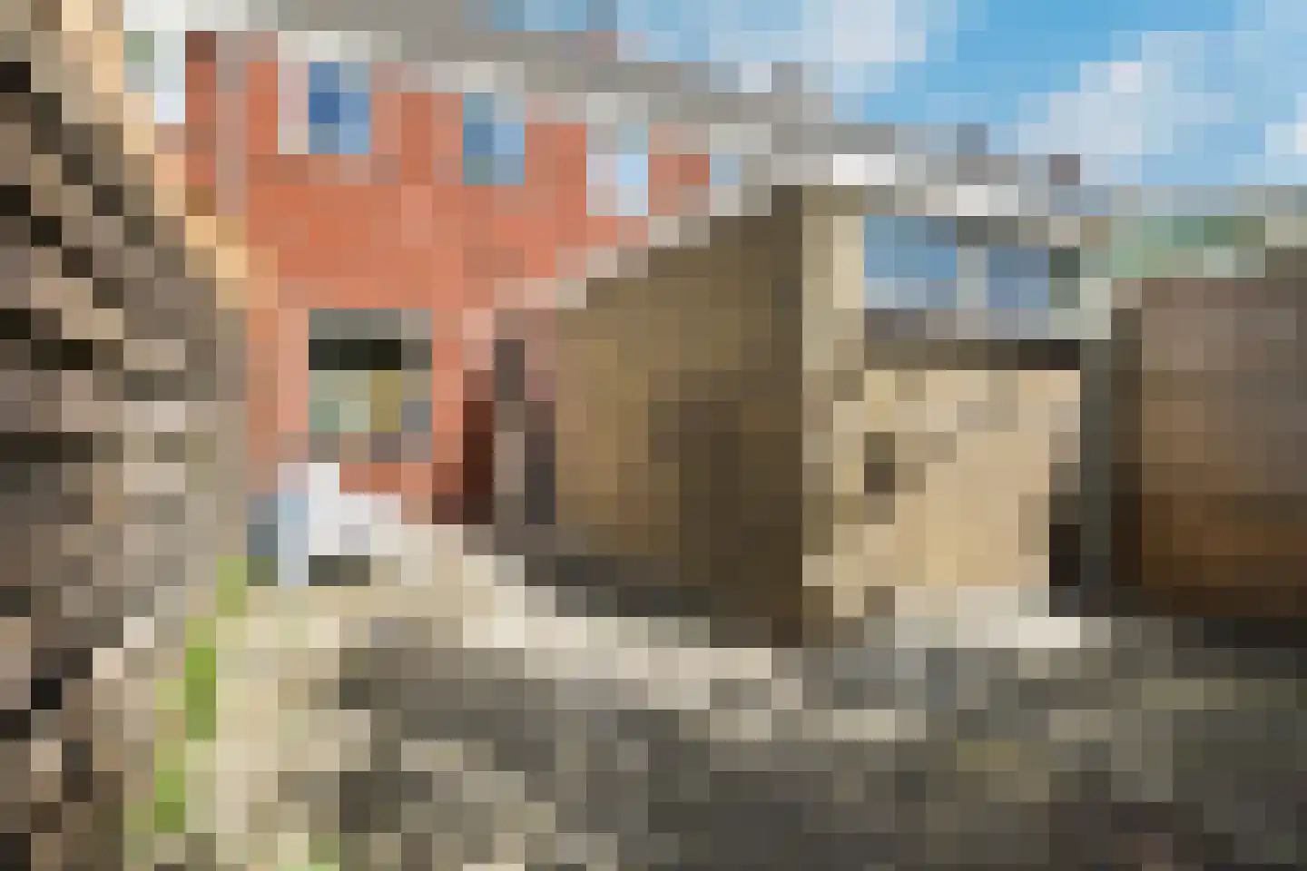 Accamastraat 14 Leeuwarden thumbnail 22