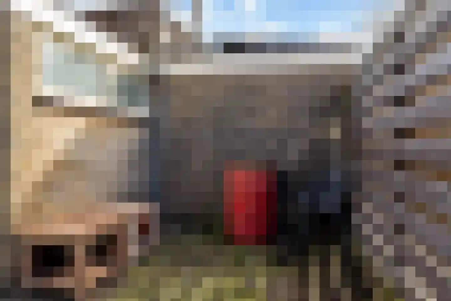 Accamastraat 18 Leeuwarden thumbnail 22