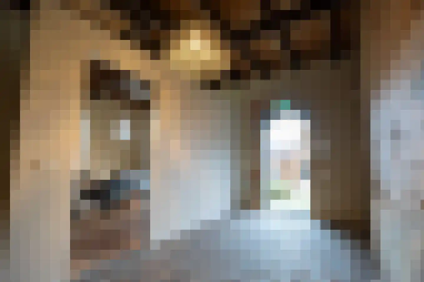Accesweg 1 Ede thumbnail 12