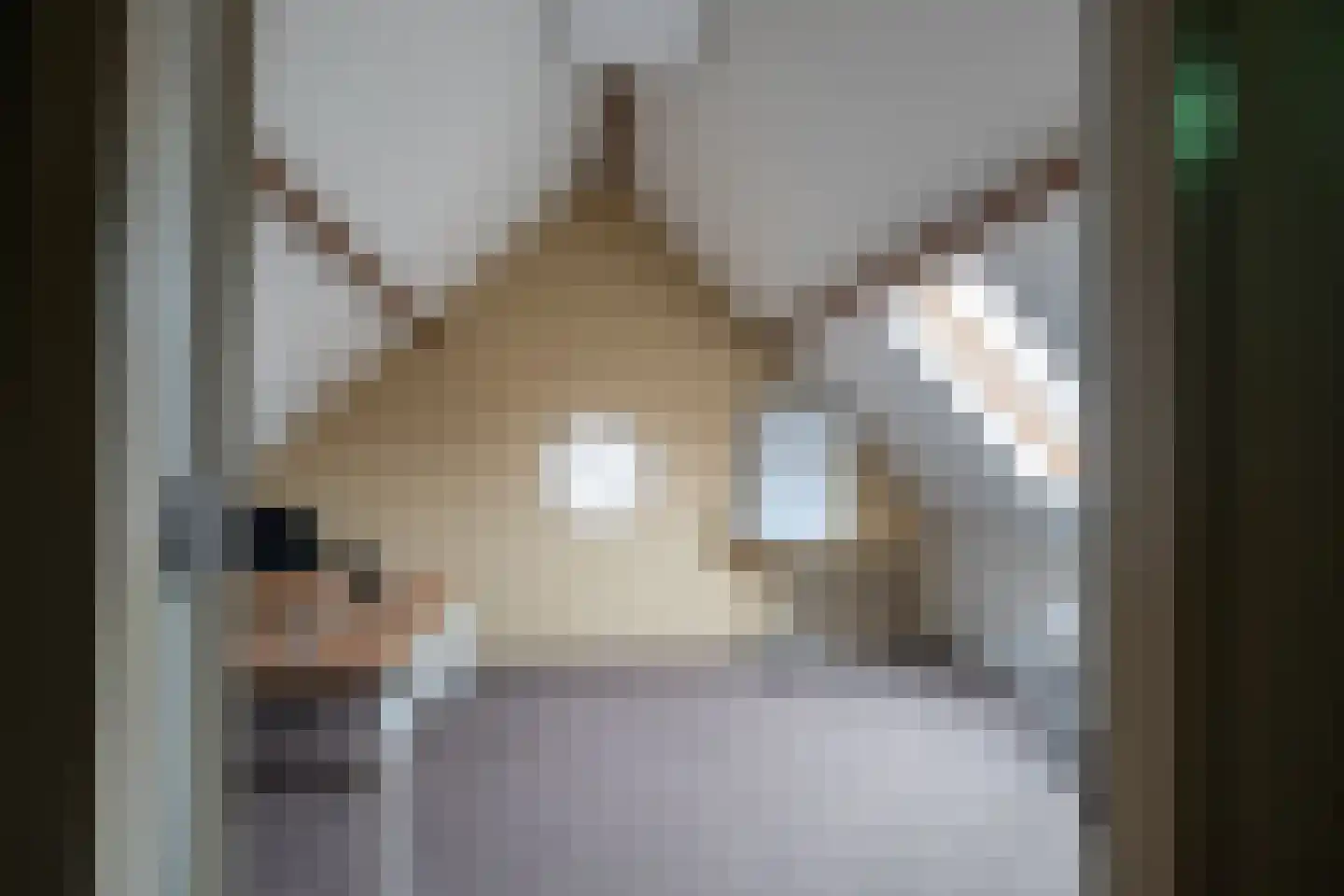 Accesweg 1 Ede thumbnail 15