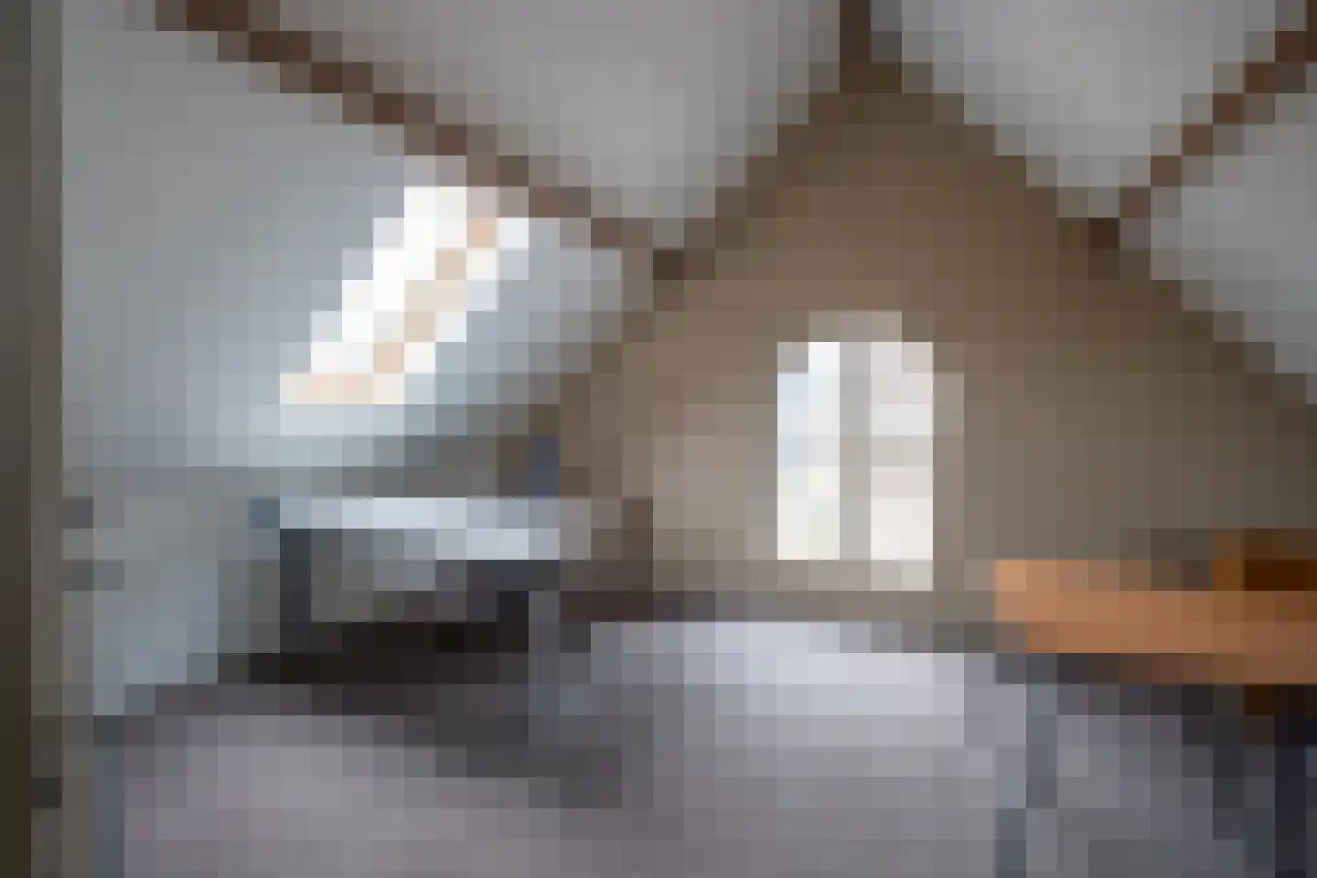 Accesweg 1 Ede thumbnail 16