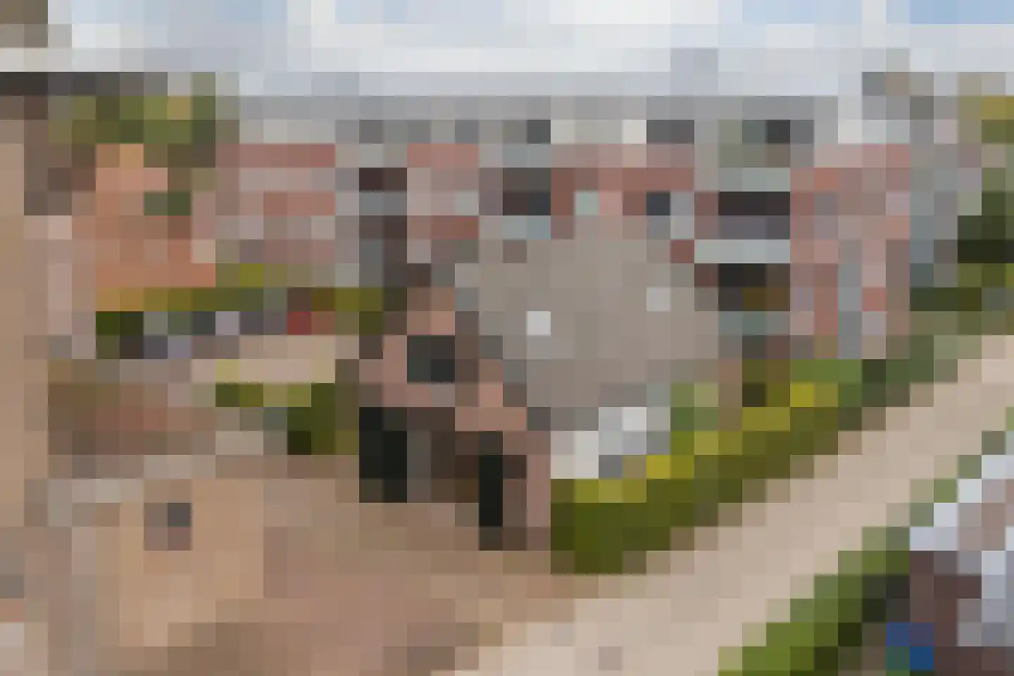 Accesweg 1 Ede thumbnail 26