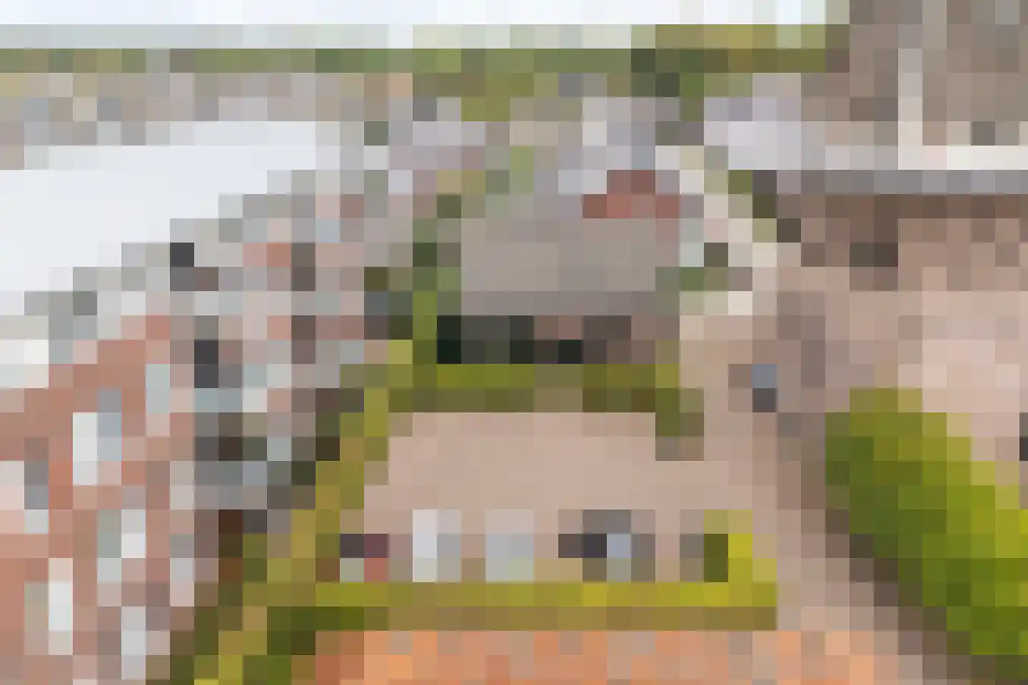 Accesweg 1 Ede thumbnail 28