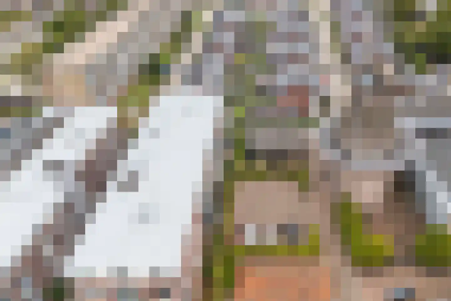 Accesweg 1 Ede thumbnail 30