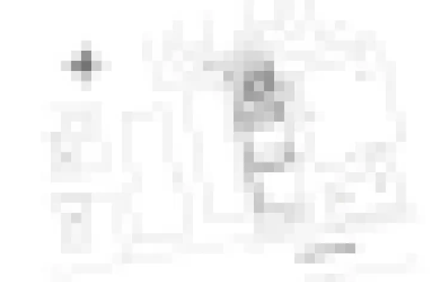 Accesweg 1 Ede thumbnail 31