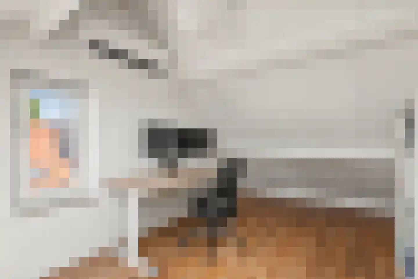 Accordeonlaan 42 Nieuwegein thumbnail 25