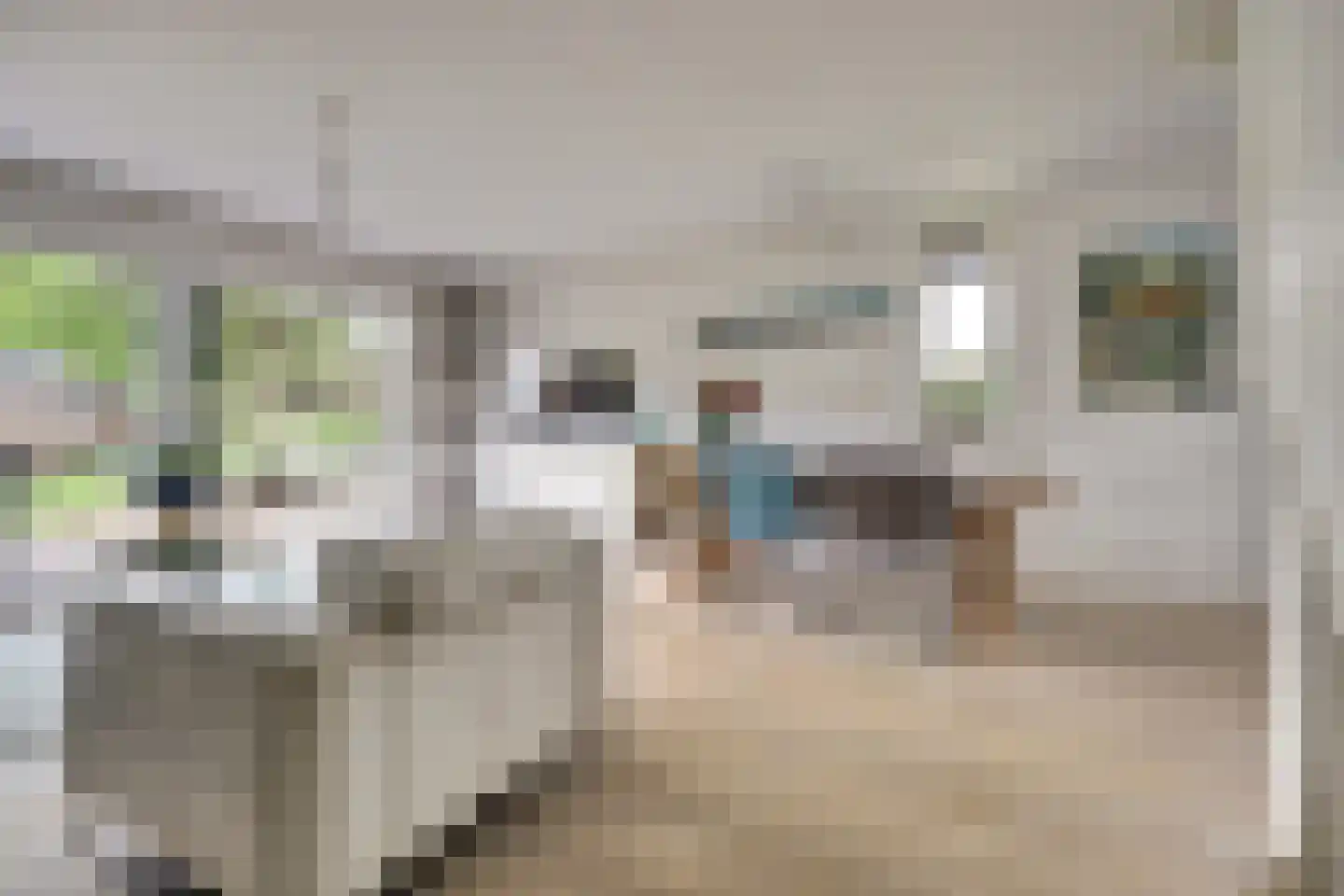 Accordeonpad 13 Spijkenisse thumbnail 10