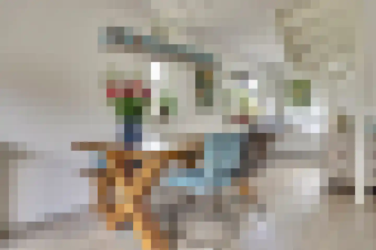 Accordeonpad 13 Spijkenisse thumbnail 13