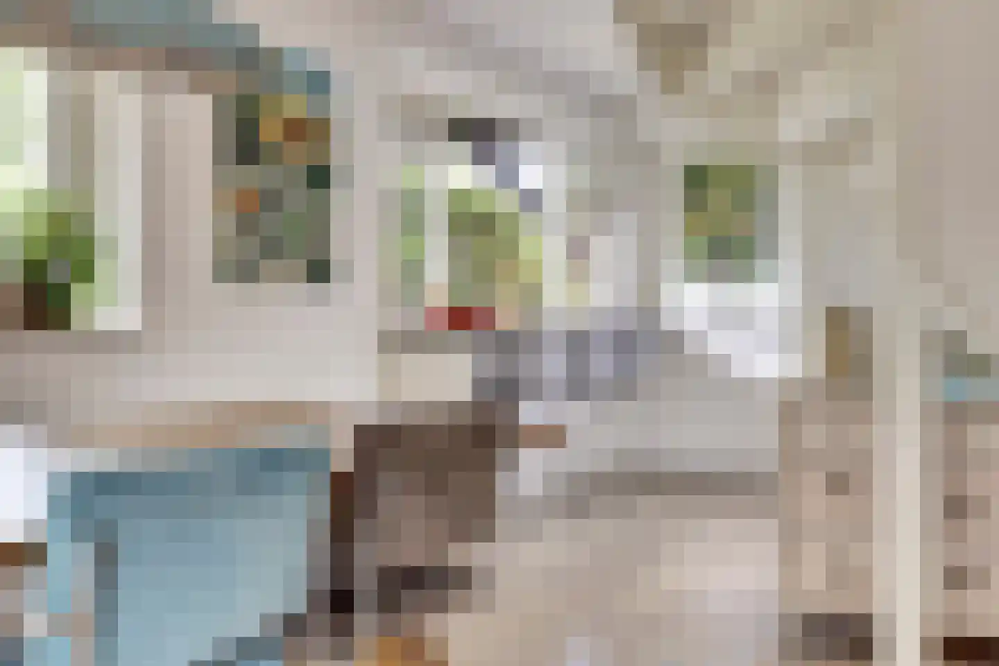 Accordeonpad 13 Spijkenisse thumbnail 14