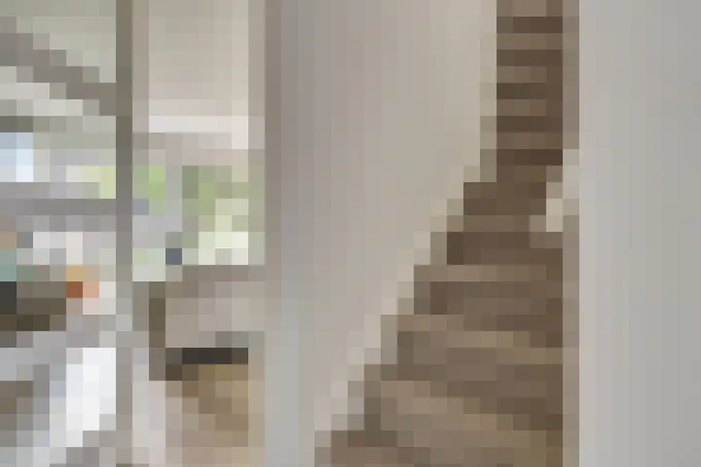 Accordeonpad 13 Spijkenisse thumbnail 22