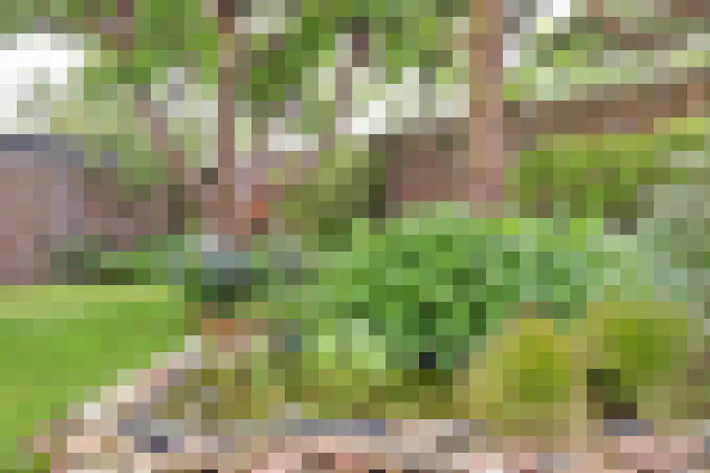 Accordeonpad 13 Spijkenisse thumbnail 31