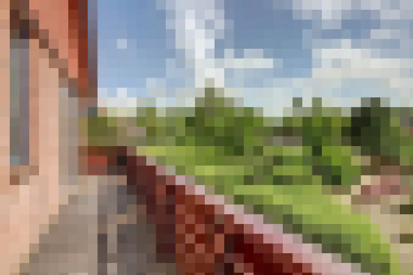 Accordeonpad 13 Spijkenisse thumbnail 36