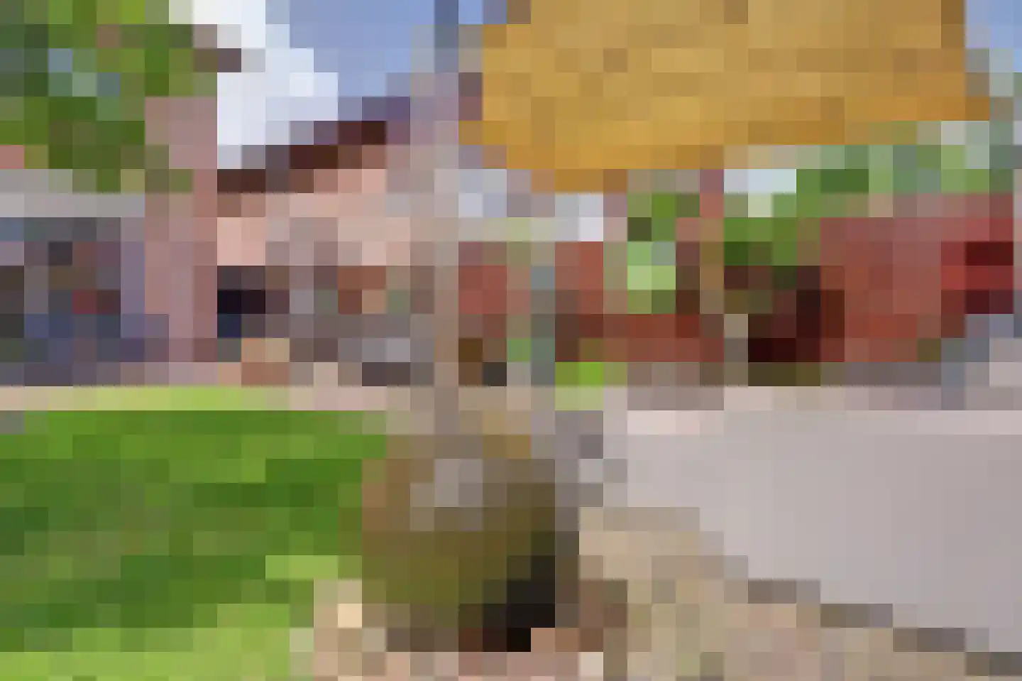 Accordeonpad 13 Spijkenisse thumbnail 40