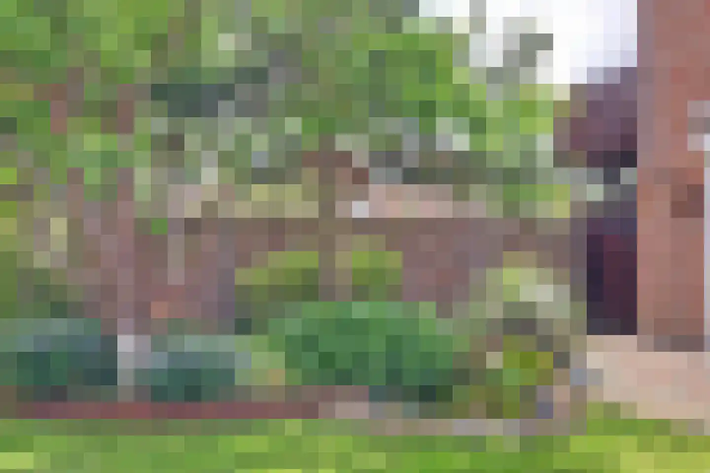 Accordeonpad 13 Spijkenisse thumbnail 43