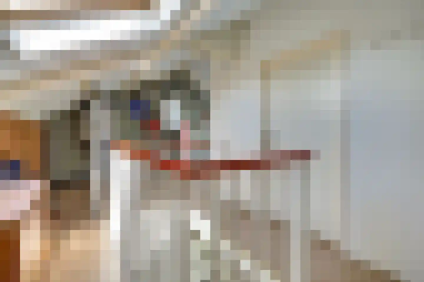 Accordeonpad 13 Spijkenisse thumbnail 50