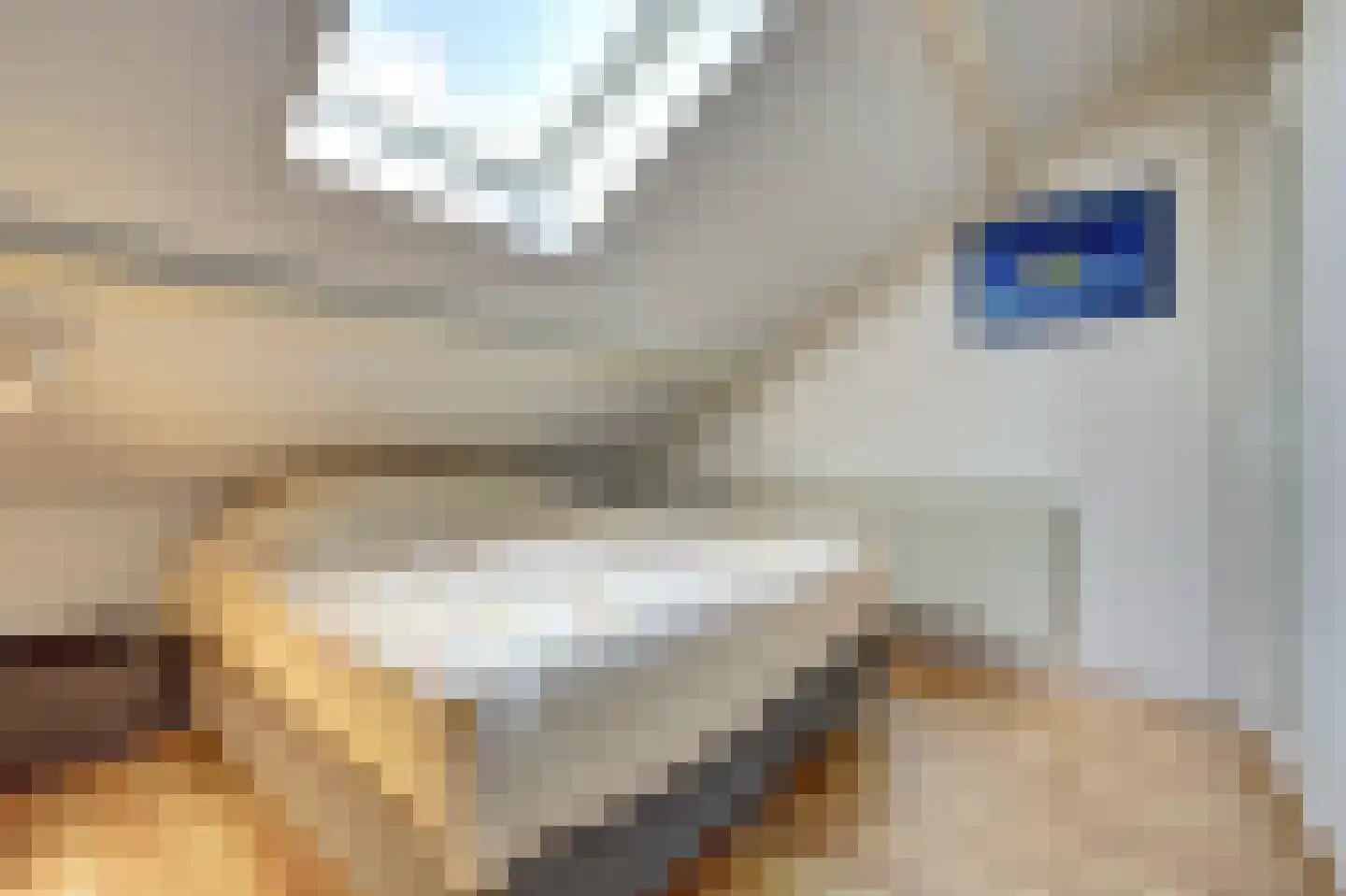 Accordeonpad 13 Spijkenisse thumbnail 53