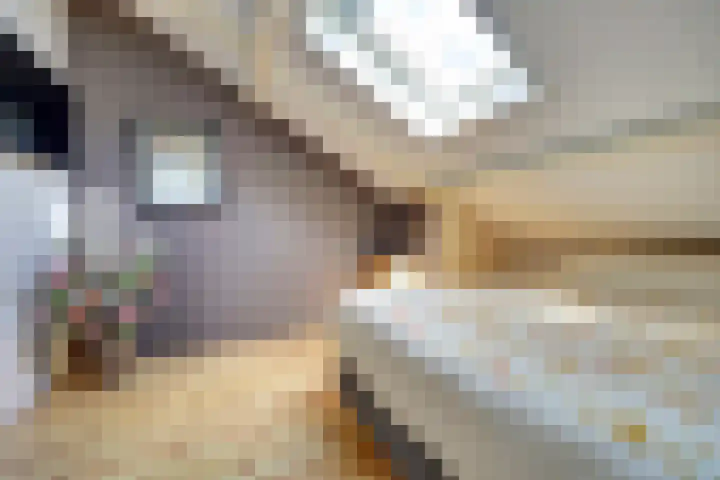 Accordeonpad 13 Spijkenisse thumbnail 54