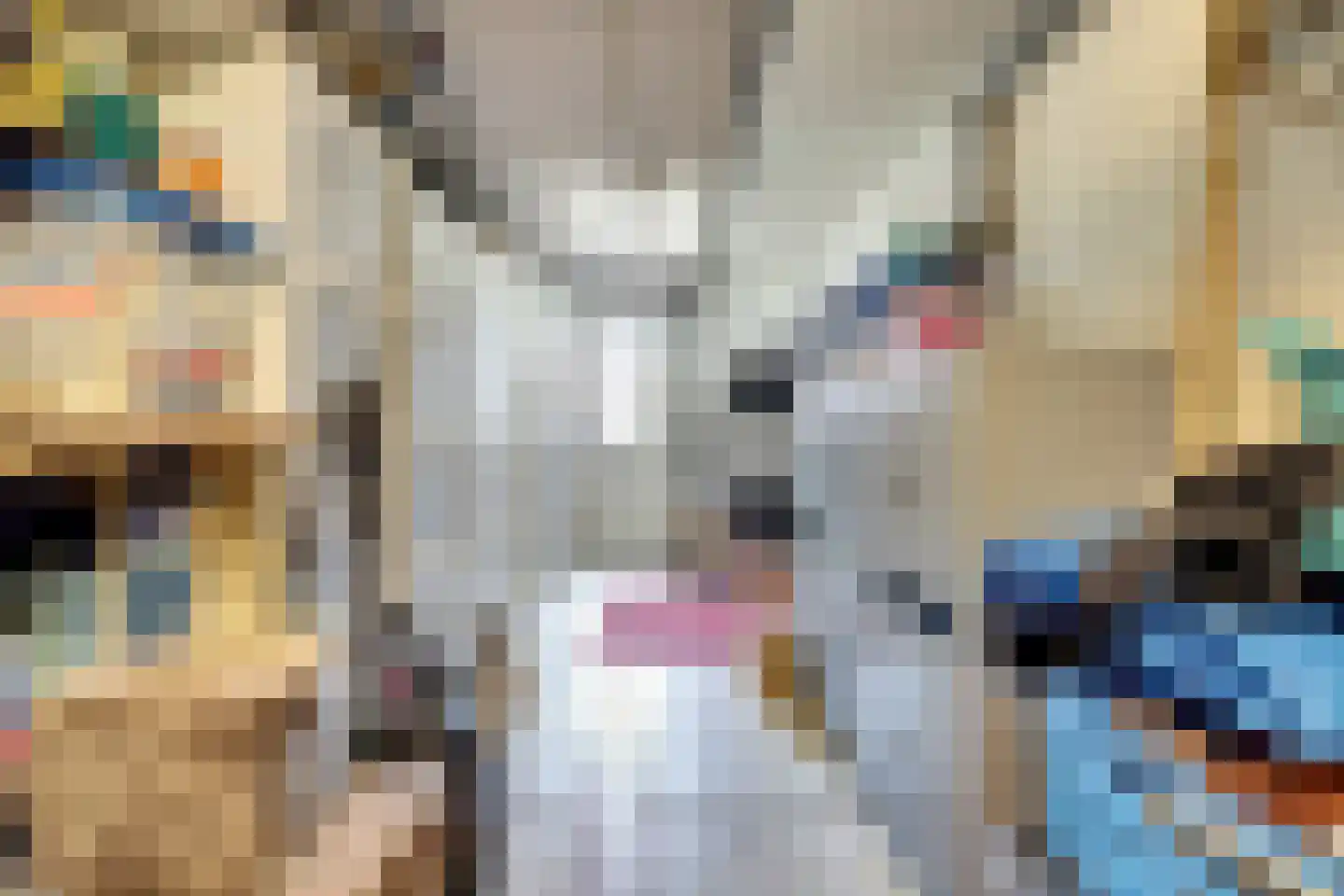 Accordeonpad 13 Spijkenisse thumbnail 56