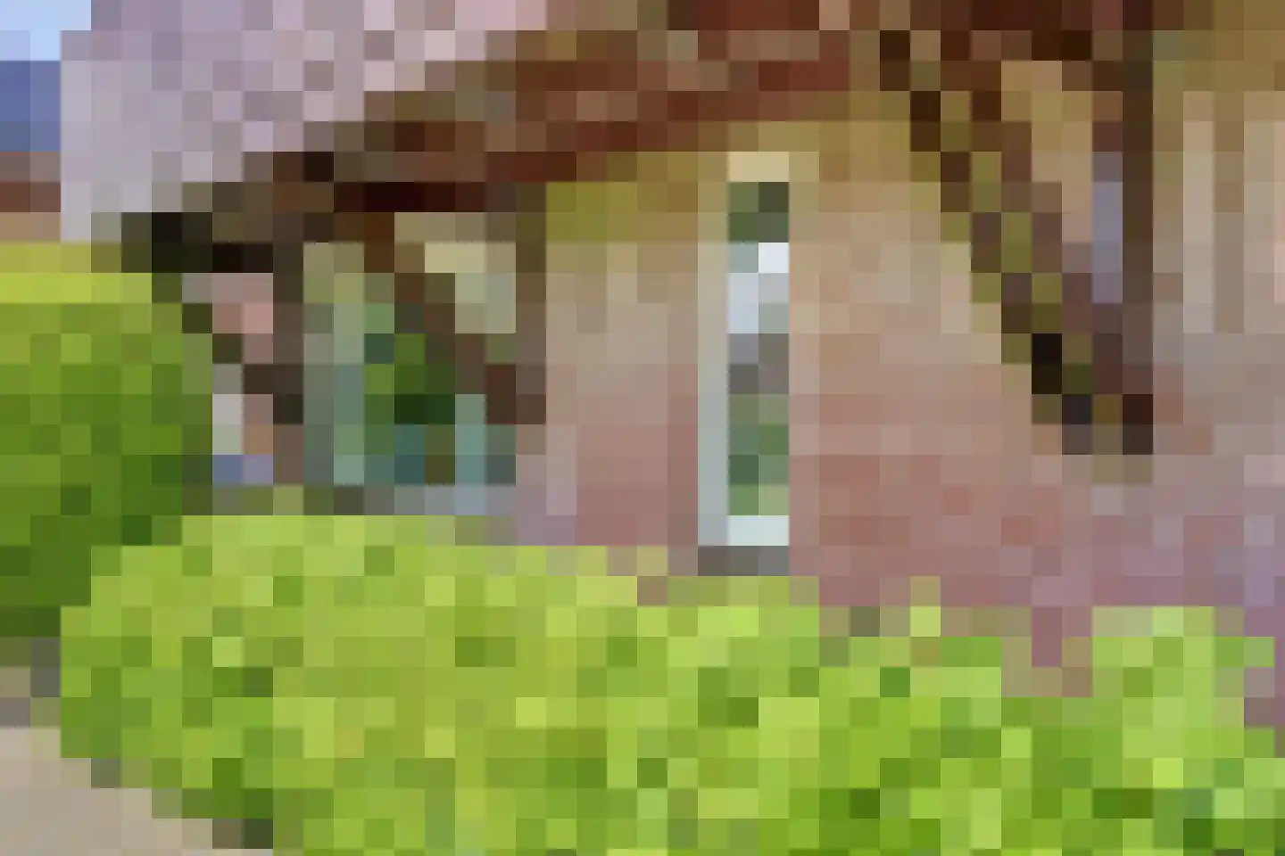 Accordeonpad 13 Spijkenisse thumbnail 57