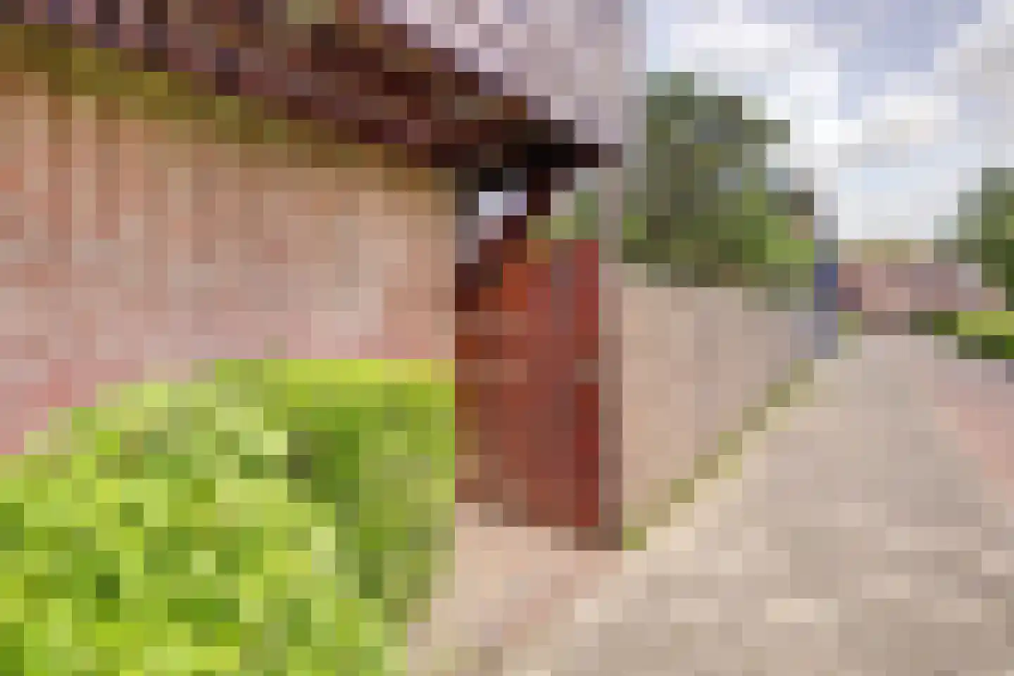Accordeonpad 13 Spijkenisse thumbnail 58