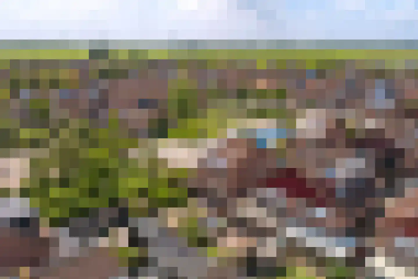 Accordeonpad 13 Spijkenisse thumbnail 65