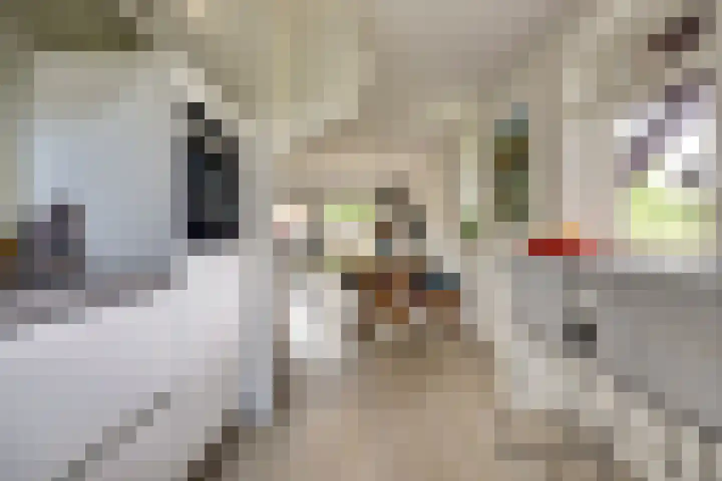 Accordeonpad 13 Spijkenisse thumbnail 7