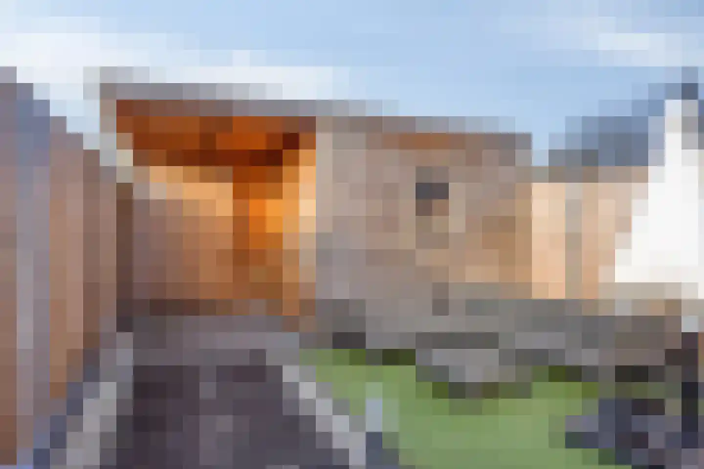 Accordeonstraat 47 Almere thumbnail 36