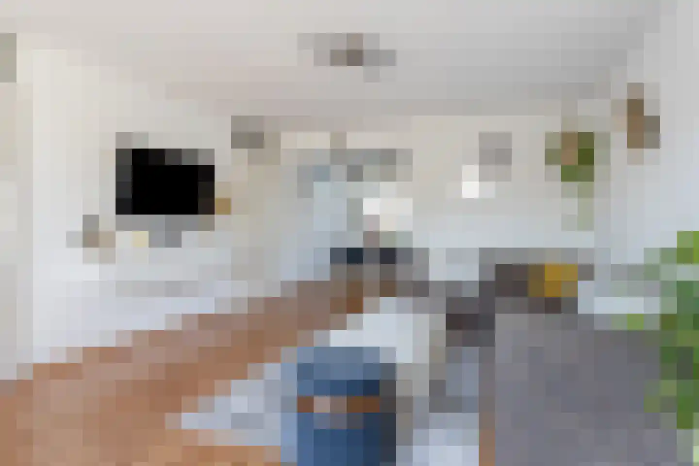 Accordeonstraat 47 Almere thumbnail 8